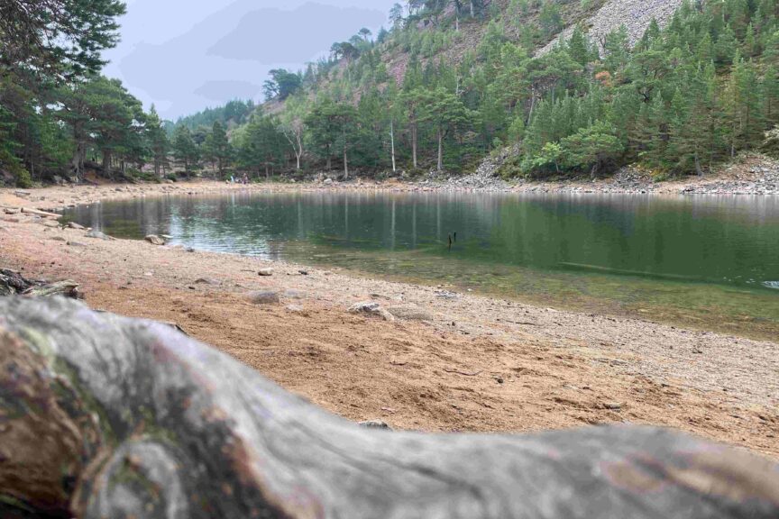 Green lochan August mist