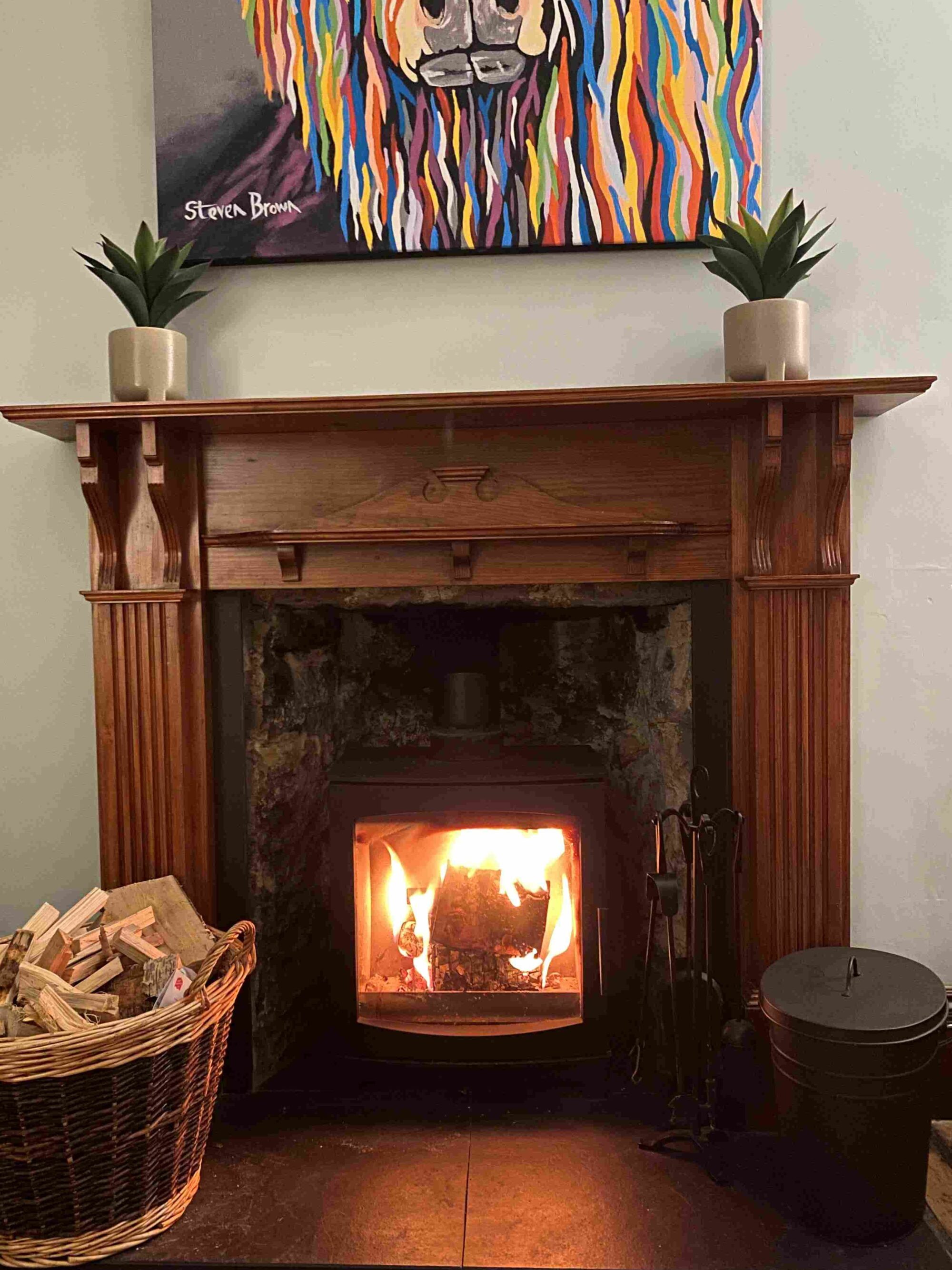 Log burning stove
