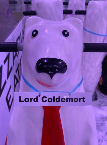 Coldemort